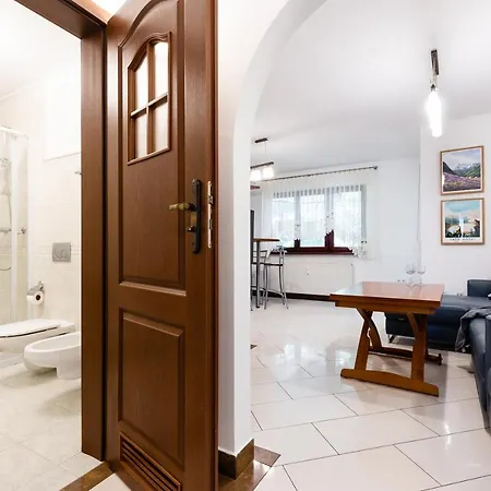Okowita I Karat Apartment Zakopane